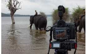The DR-70D survives the elements, capturing elephants