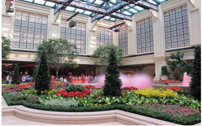SimplyTech brings Nexo to Paradise Gardens