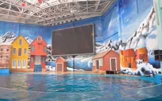 Qujiang Polar Ocean Park gets Active Audio solution
