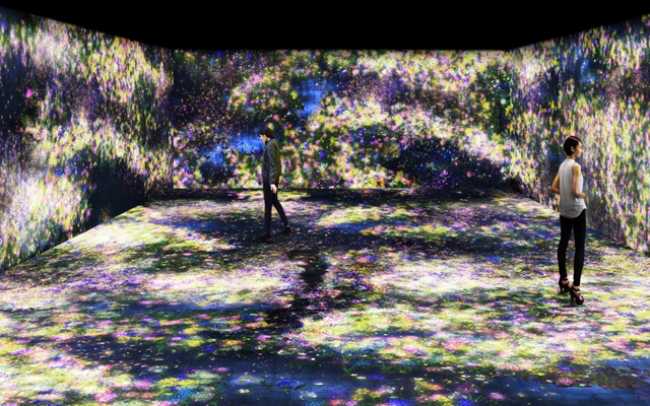 Sony laser projectors support immersive artworks at the Ikkan Art Gallery