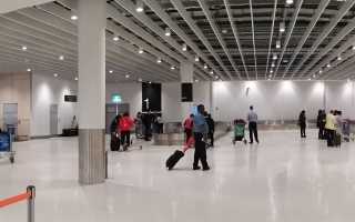 Intellivox provides cost-saving for Auckland Airport