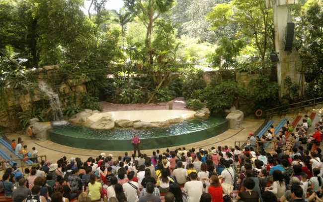 A day at the zoo